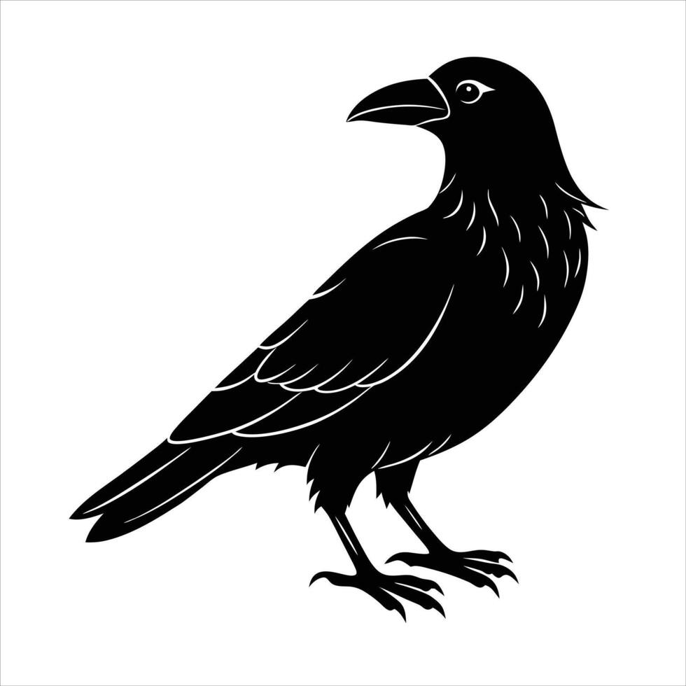 Black raven on white background vector