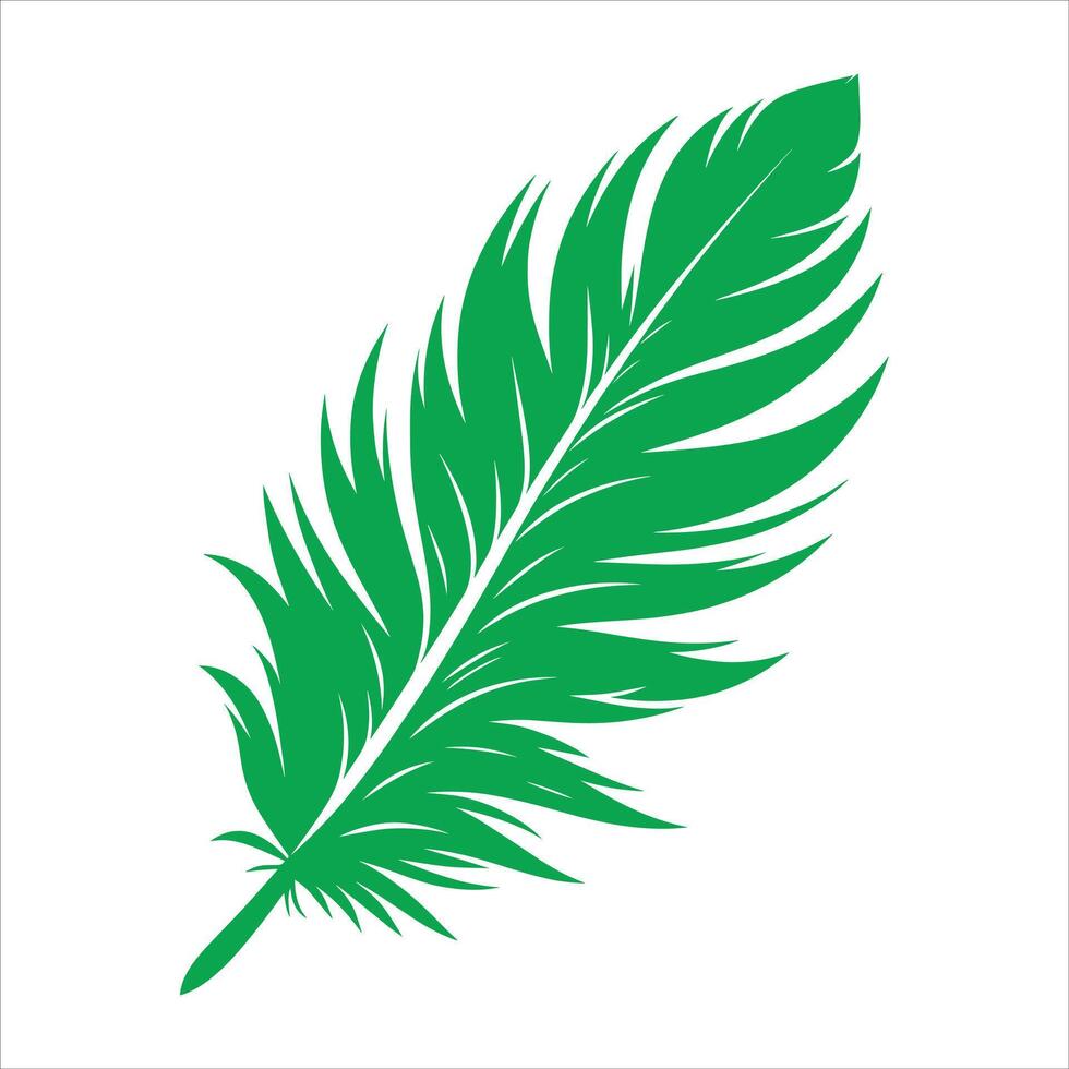 Bird Feathers Realistic Illustration, Feather, Sign, Symbol, Logo illustration On White Background vector