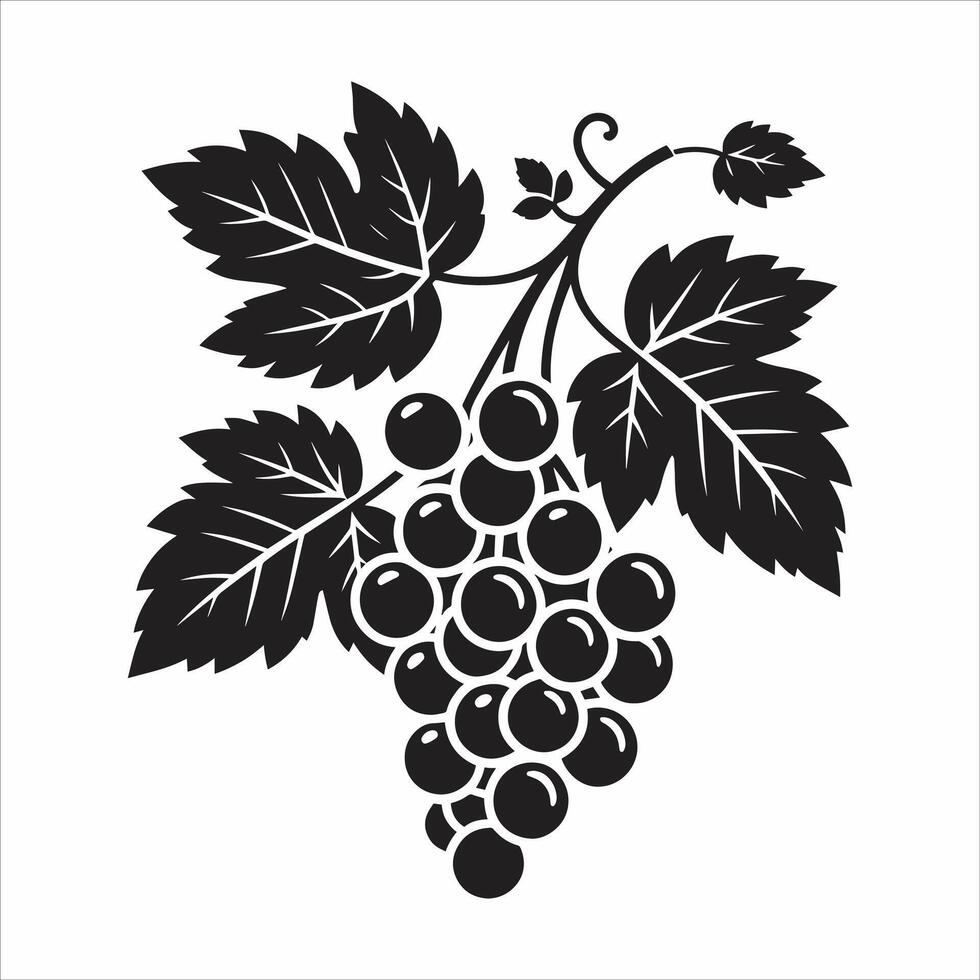 Bunch Of Grapes With Leaves Silhouette Illustration. Black And White Silhouette Grapes Isolated On A White Background vector