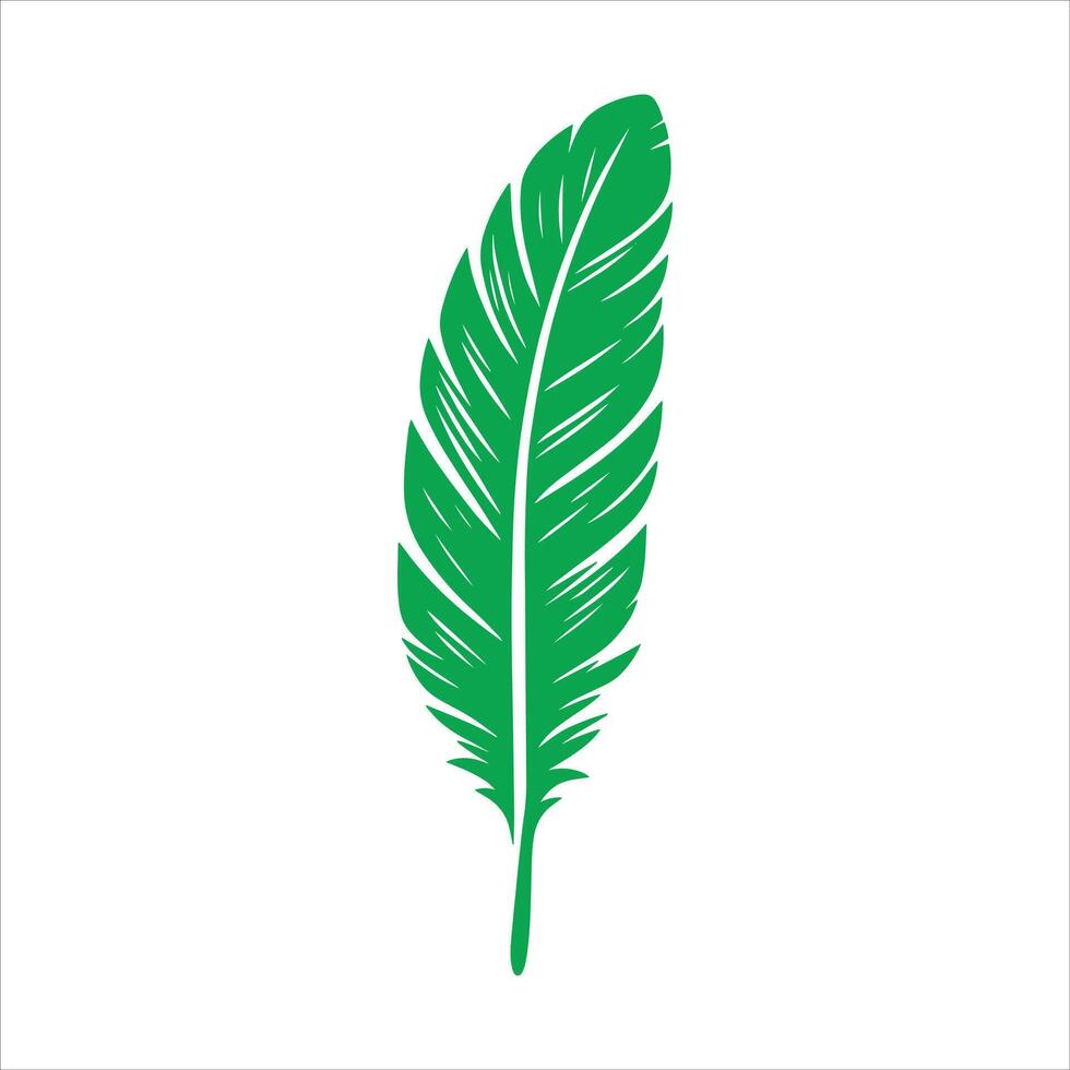 Green Feather On White Background vector