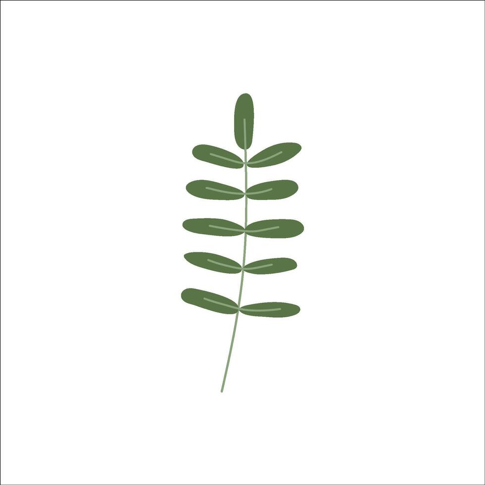Hand-drawn doodle plant.. A branch with leaves. Simple minimalist illustration vector