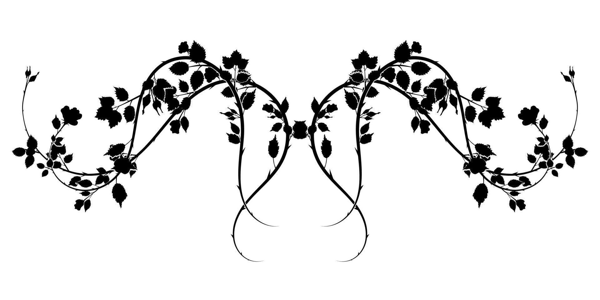 gorgeous pattern of roses interlaced with thorns vector