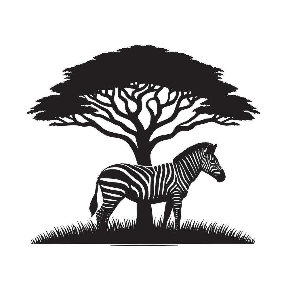silhouette of zebra under tree in field of savannah vector