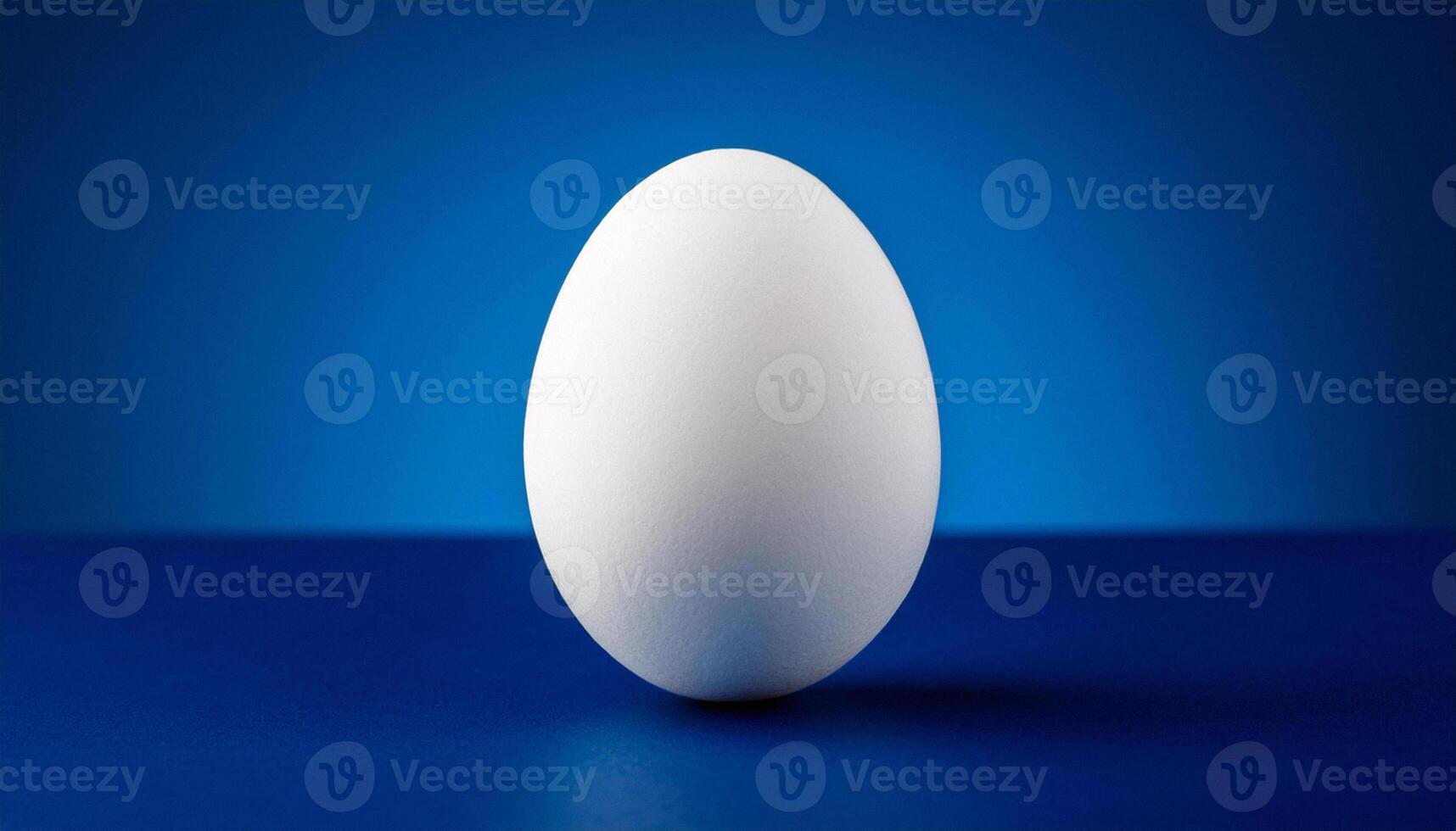 Front view of single fresh white chicken egg is isolated on a dark blue background. photo