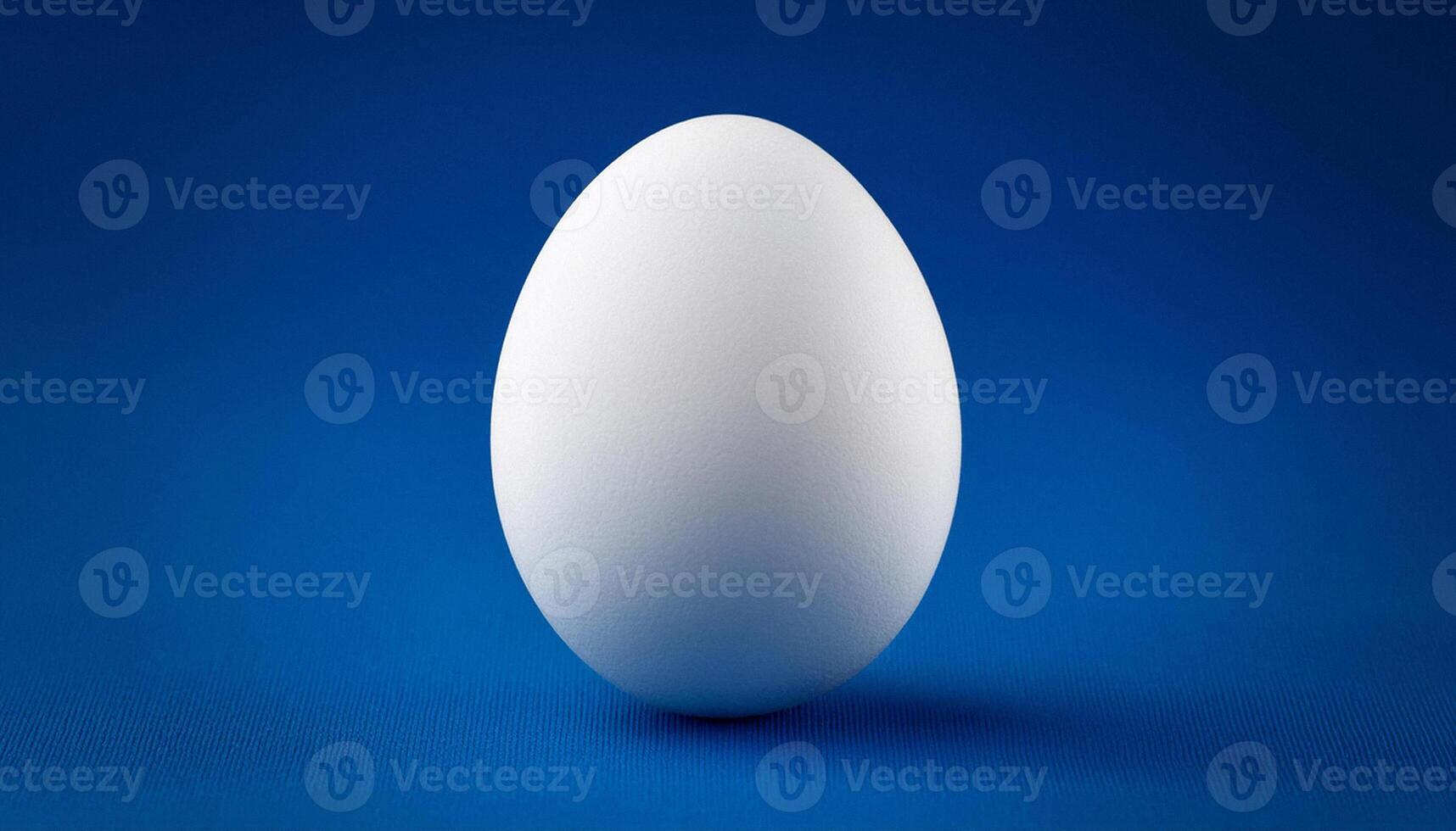 Front view of single fresh white chicken egg is isolated on a dark blue background. photo