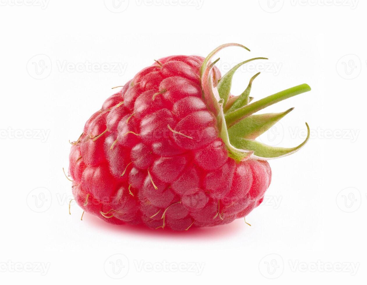 Two juicy perfect raspberries lie on a leaf, isolated on a white background. photo