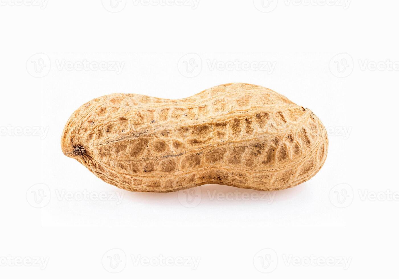One fresh unpeeled peanut isolated on white background photo