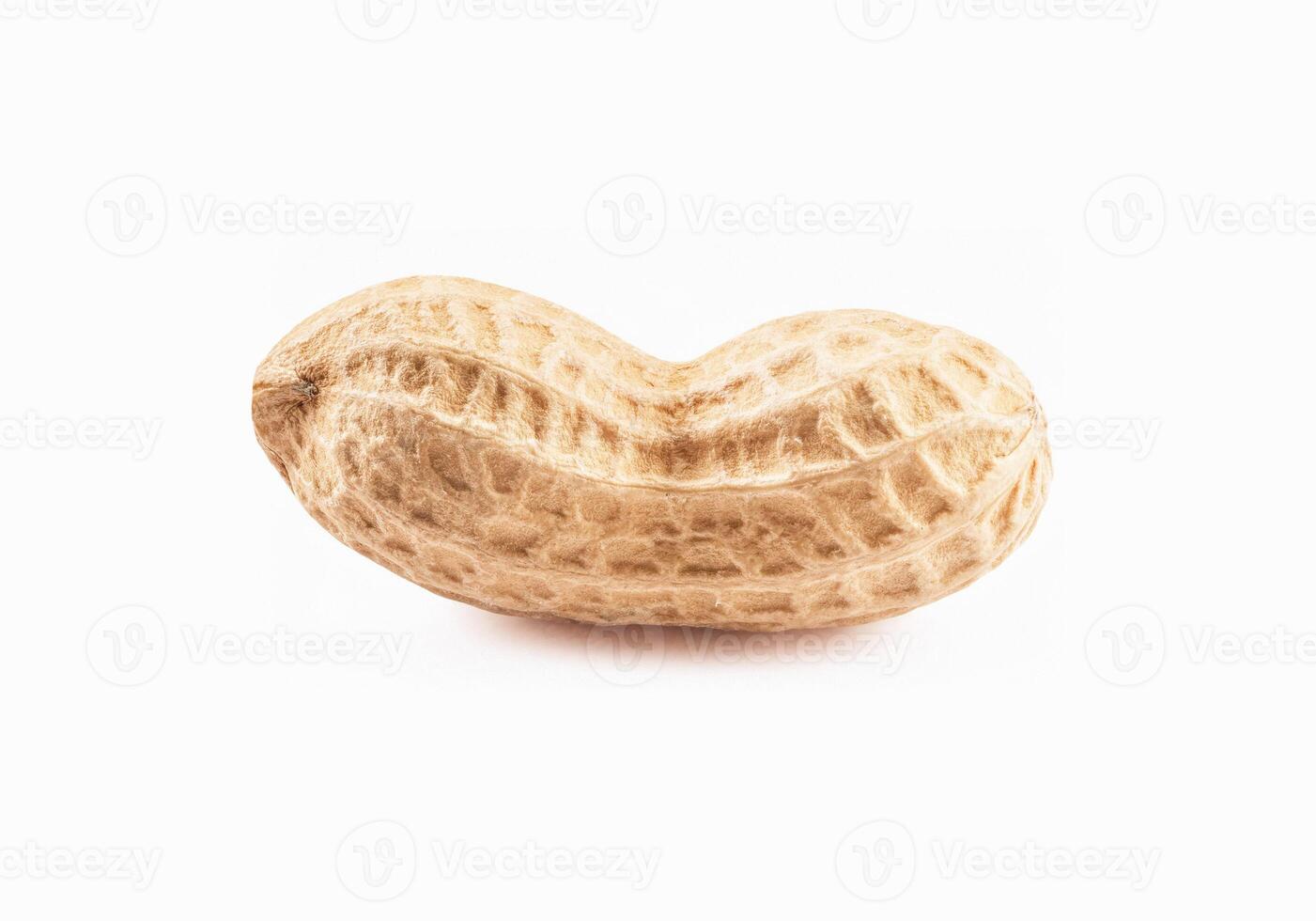 One fresh unpeeled peanut isolated on white background photo