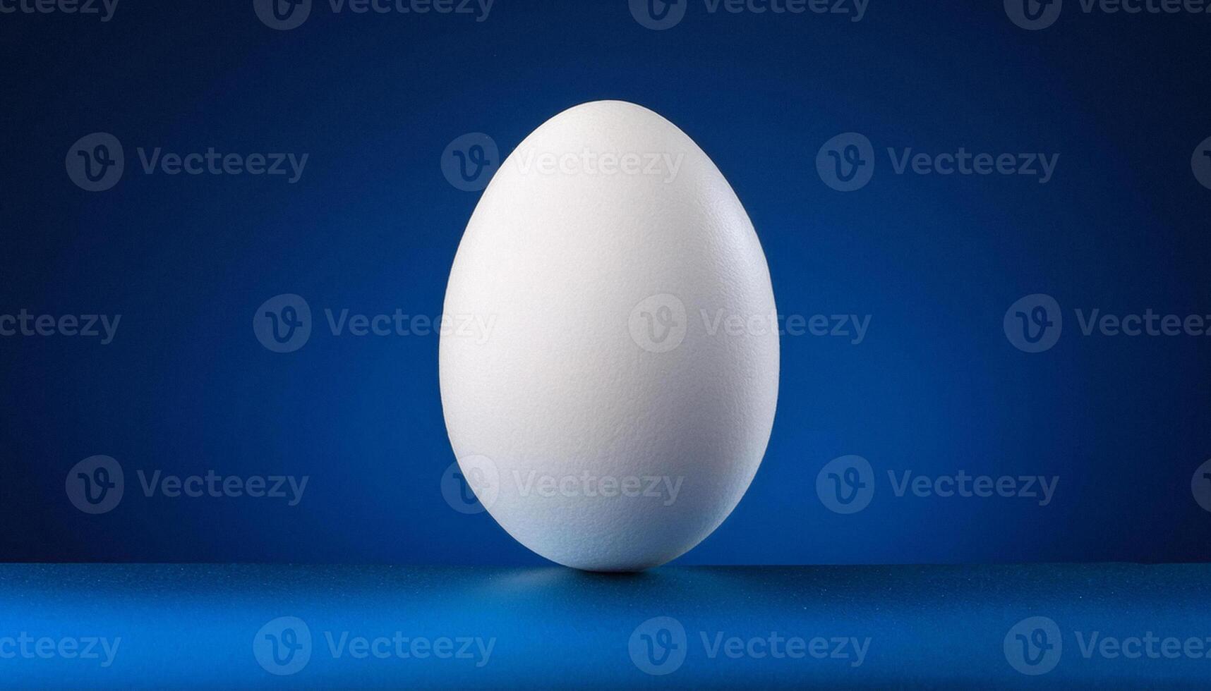 Front view of single fresh white chicken egg is isolated on a dark blue background. photo
