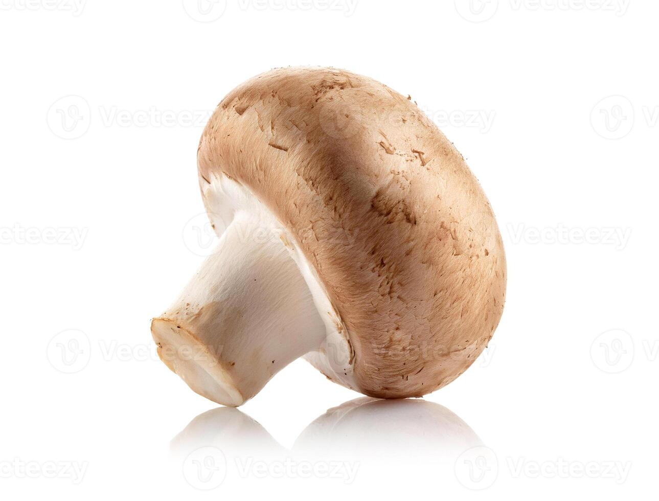 One whole and halved fresh brown champignon mushroom isolated on white background photo
