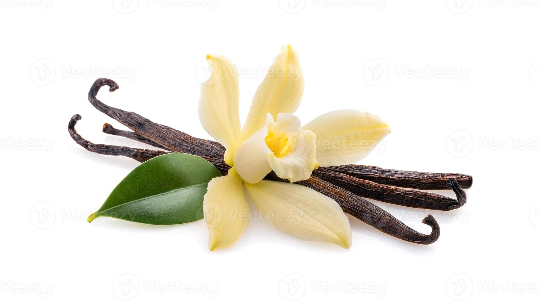 vanilla flower with pods and leaves isolated on a white background. photo