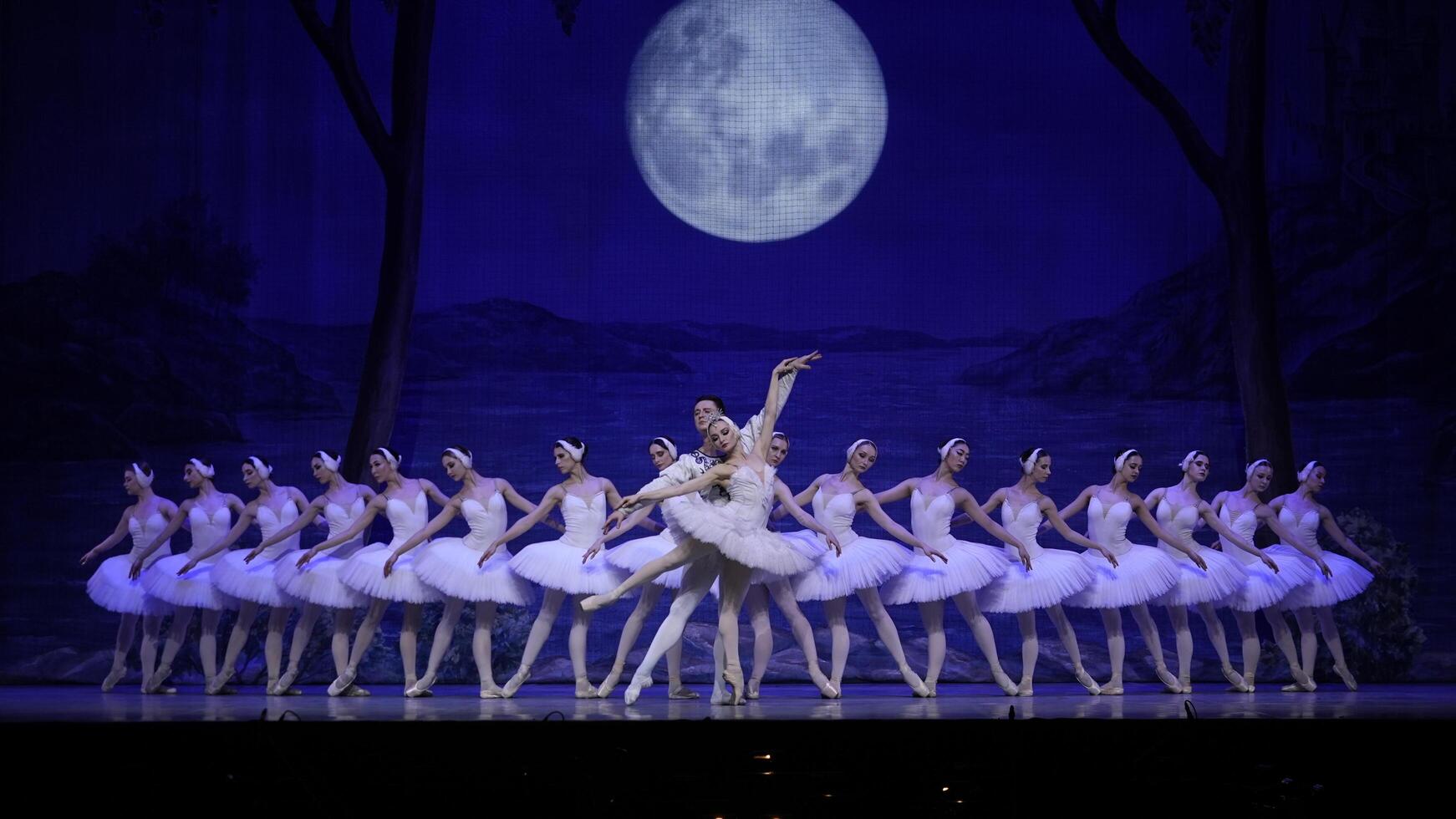Ballet Swan Lake. Wedge of ballerinas in tutus, pointe Paris, France 11.10.2024 photo