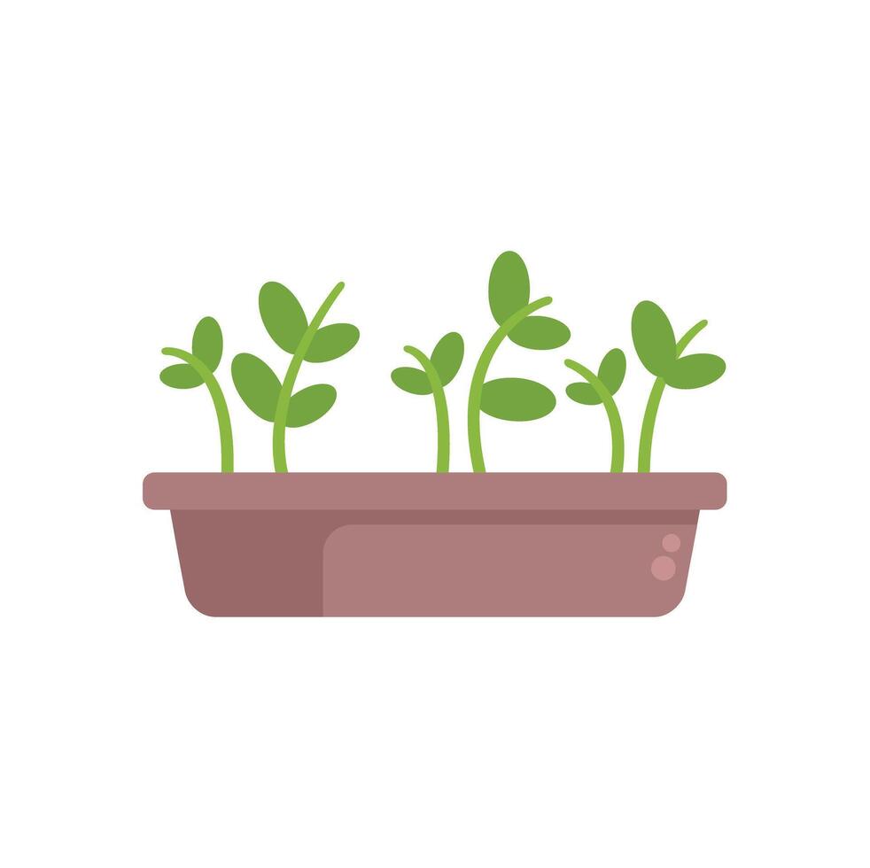 Small green plants growing from rectangular pot illustration vector