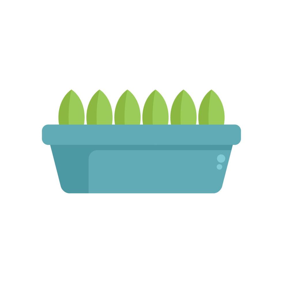 Green plants growing in a window box vector