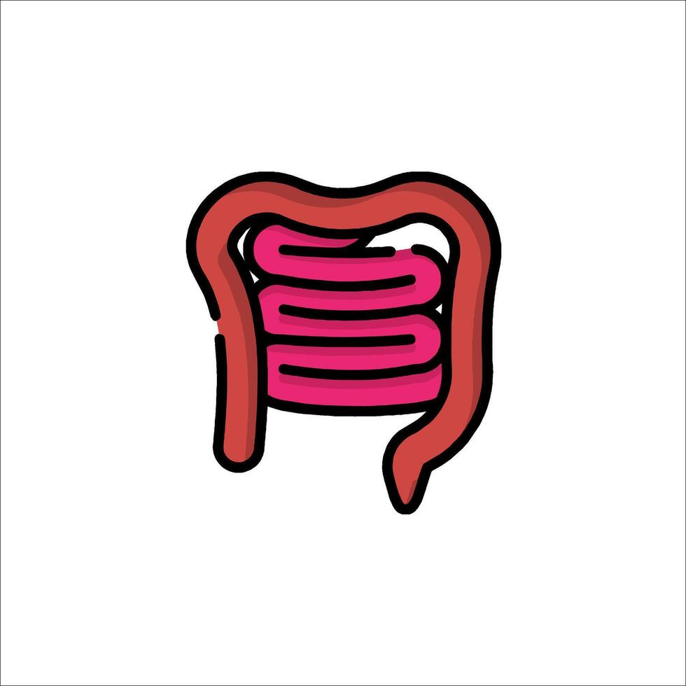A cartoon illustration of a human stomach vector