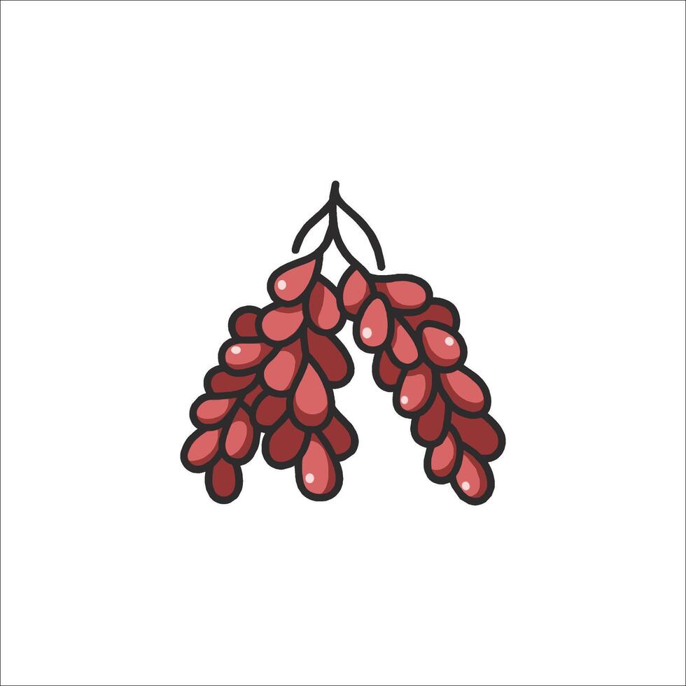 A red plant with leaves and berries vector