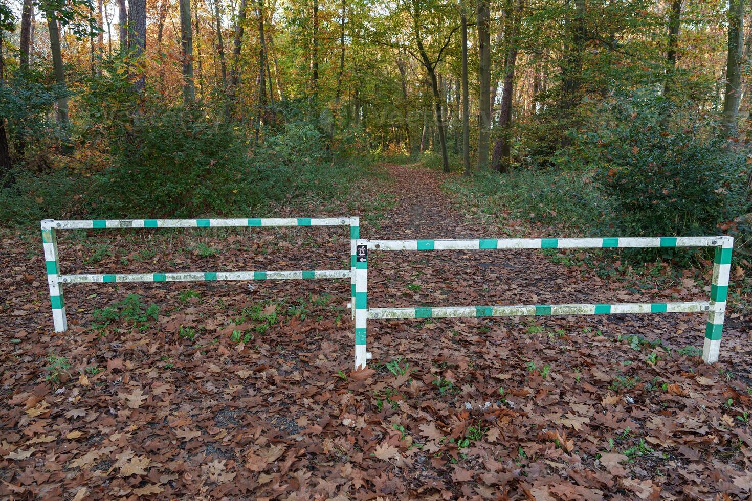 Two green and white barriers in the woods photo
