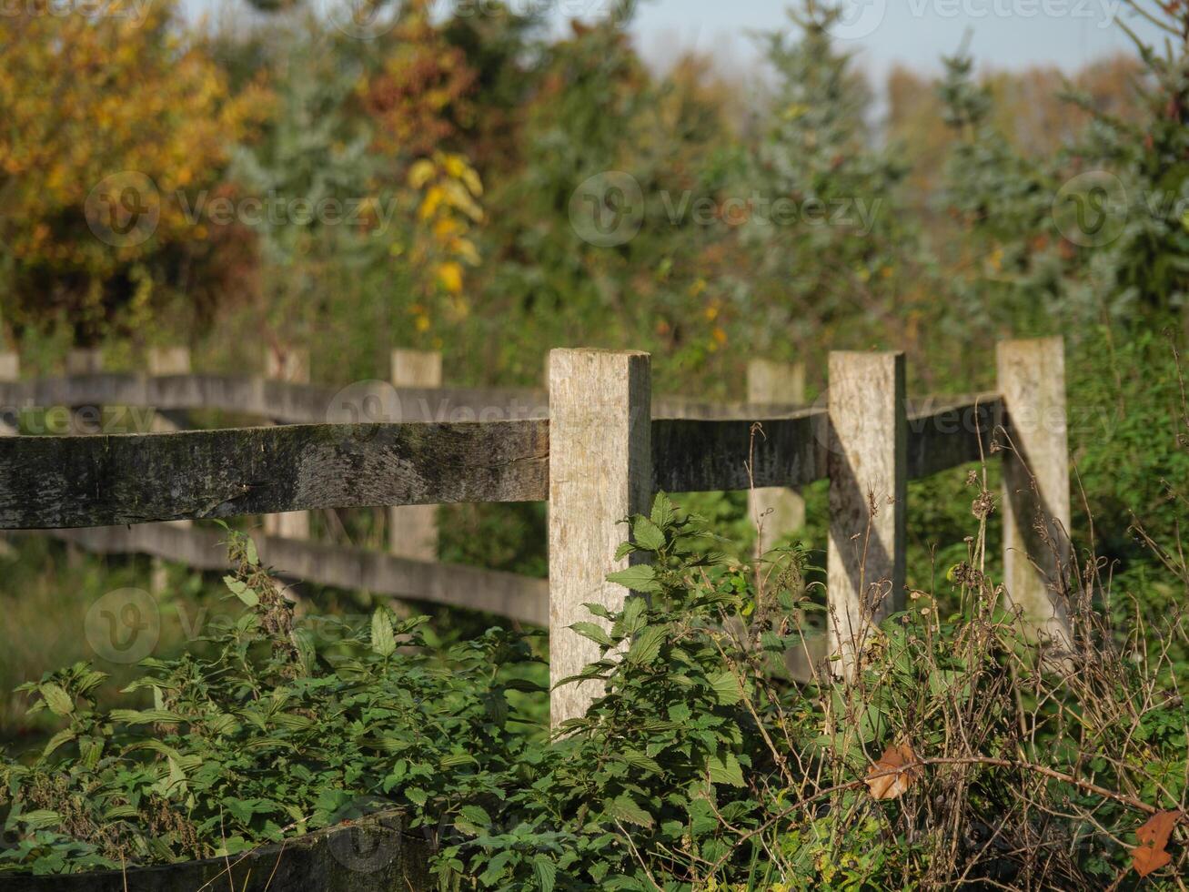 A wooden fence in the middle of a field photo