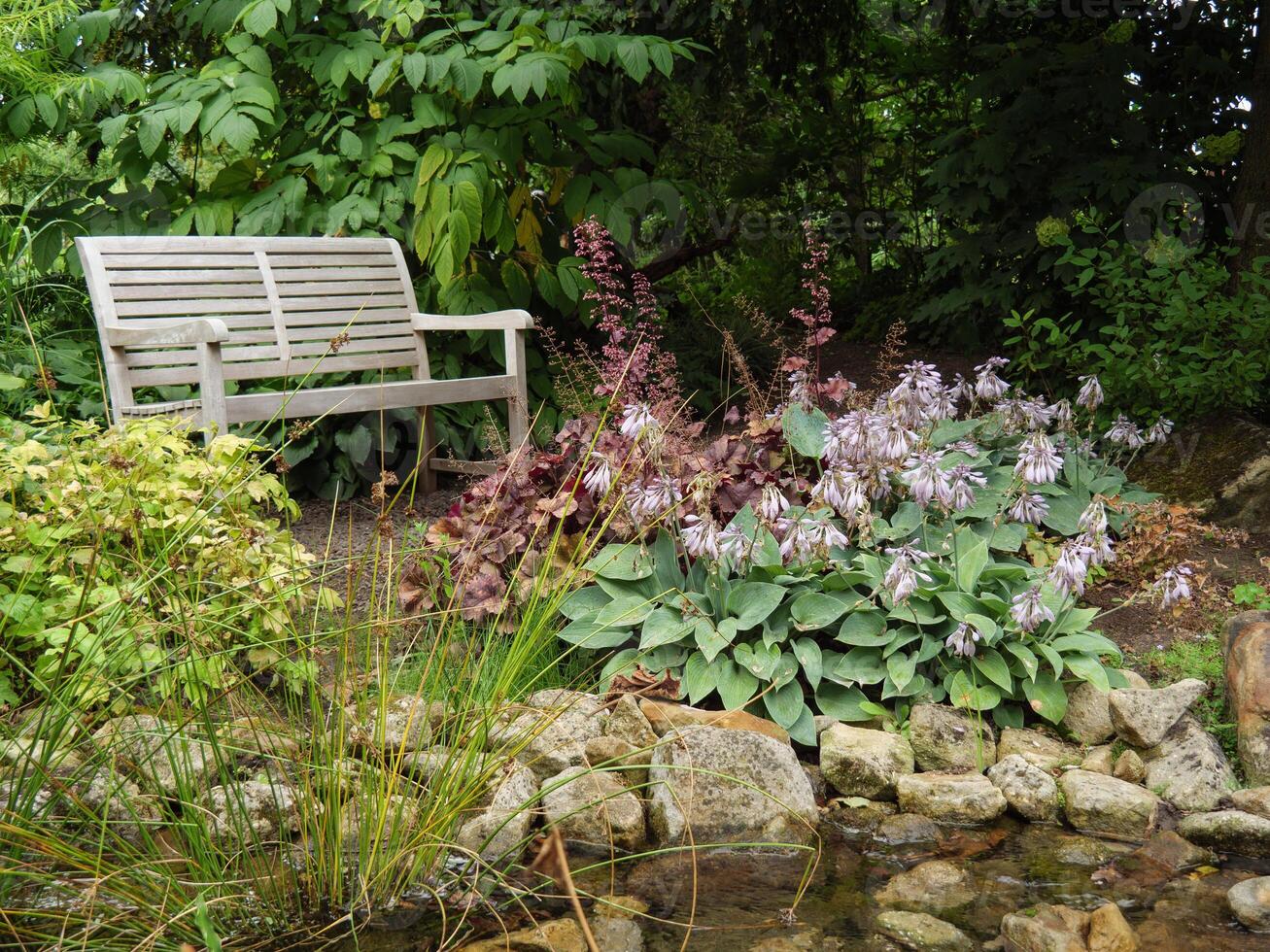 A bench in a garden photo