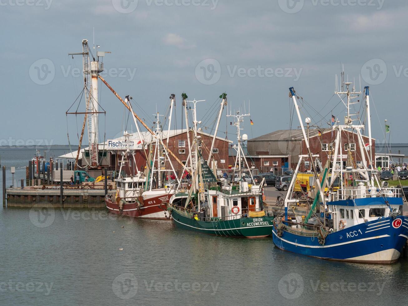 The boats are docked photo