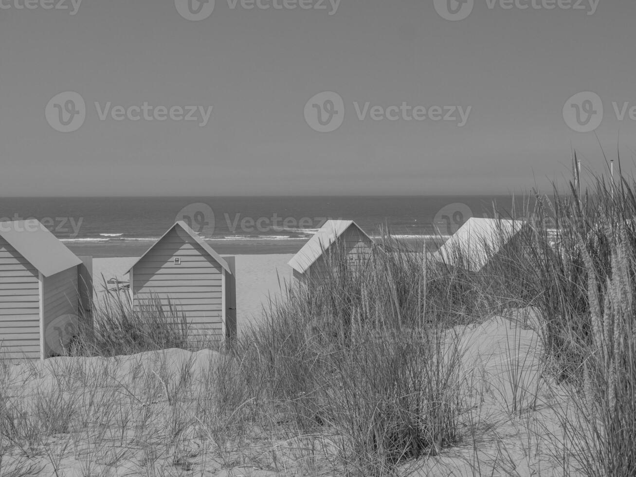 Beach huts on the beach in belgium photo