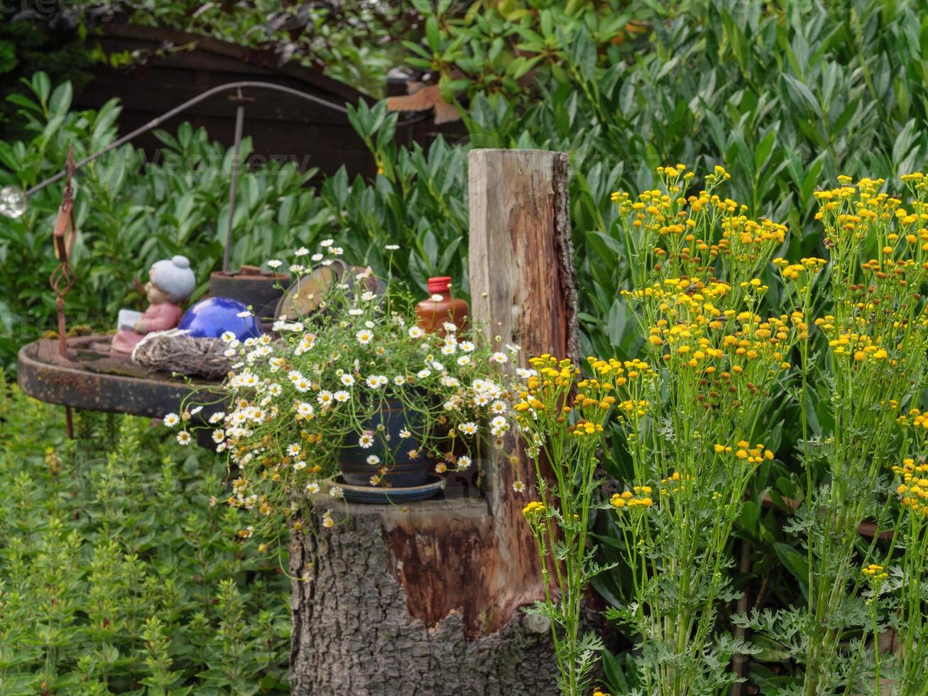 A wooden stump with a bird feeder and flowers photo