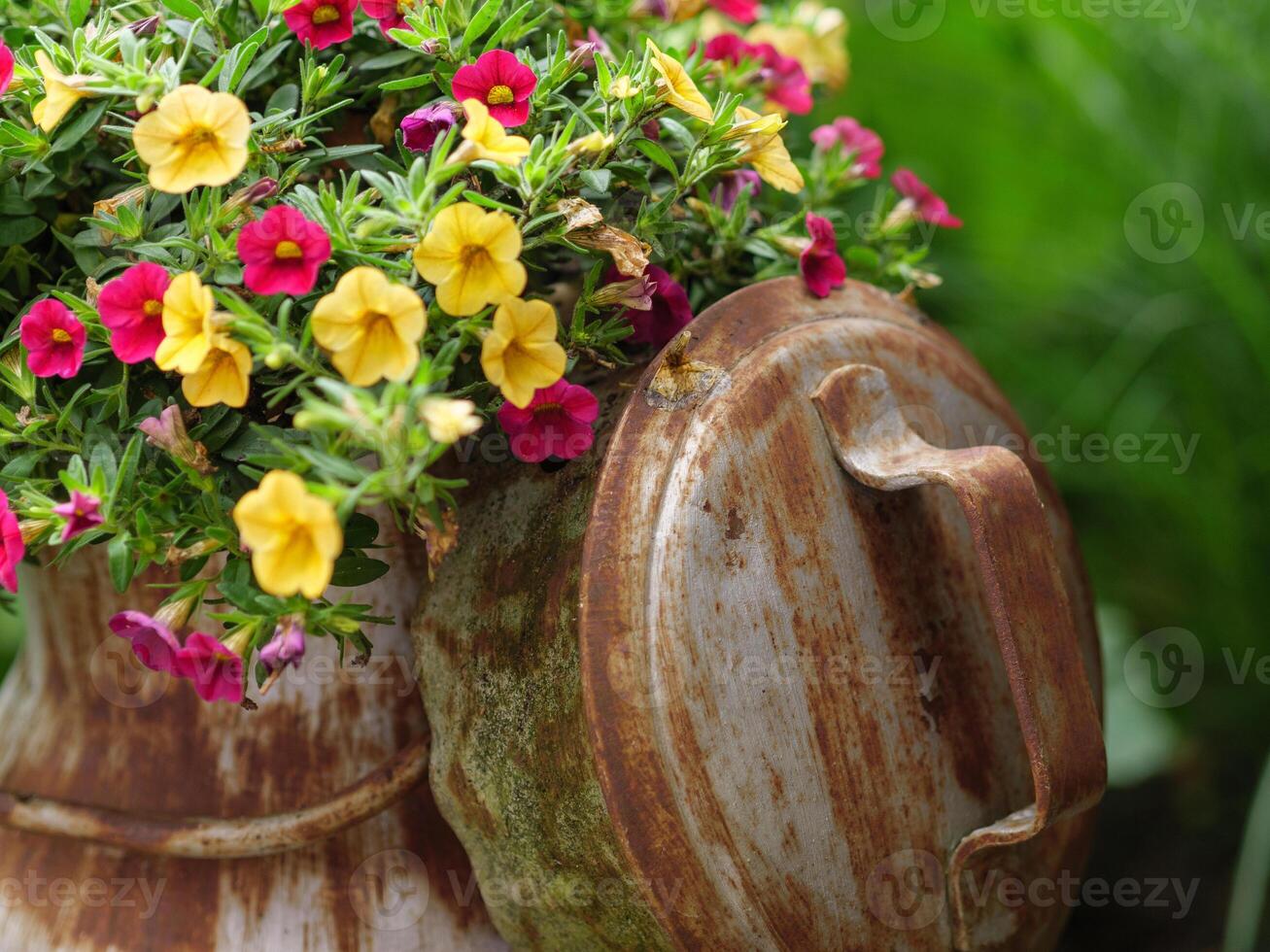 A vase with flowers in it photo
