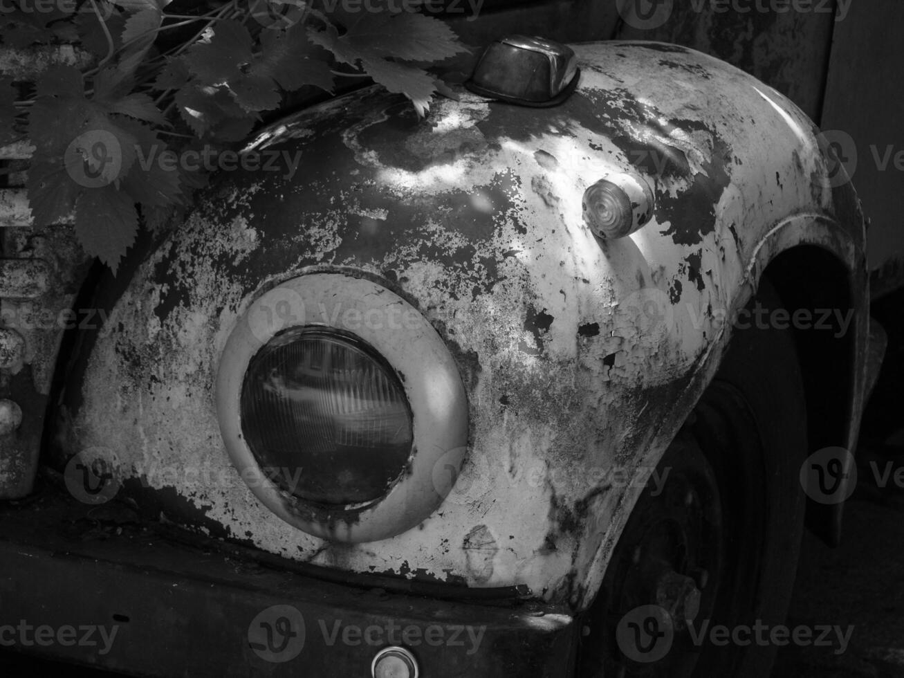 An old truck with a broken headlight and leaves on it photo