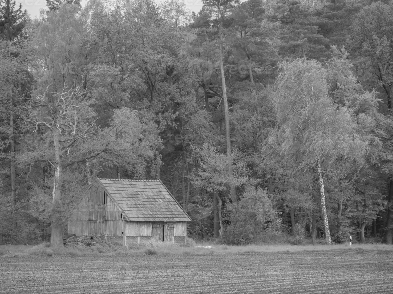 An old wooden house in the middle of a field photo