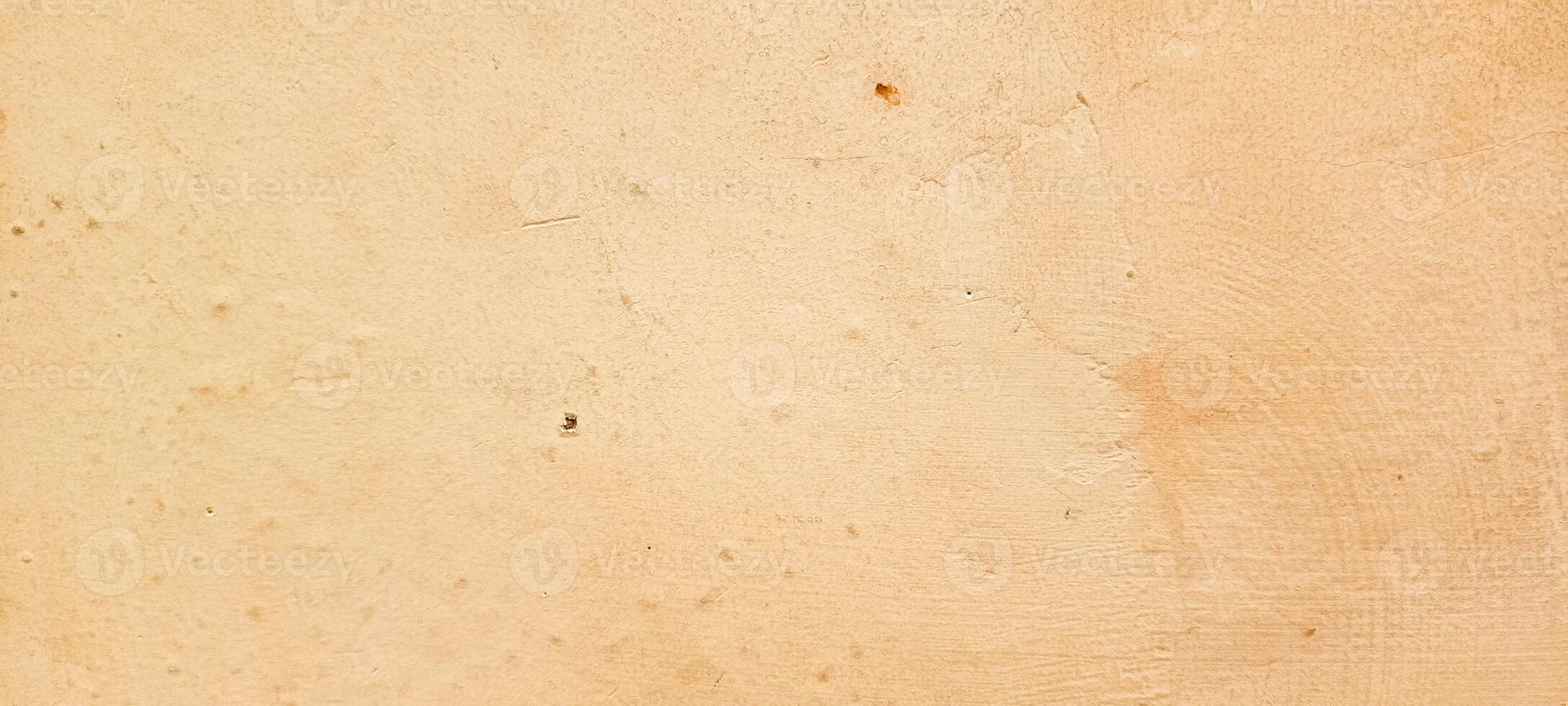 photo of wall fungus