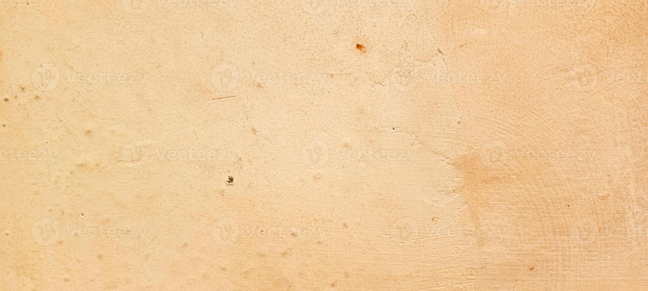 photo of wall fungus