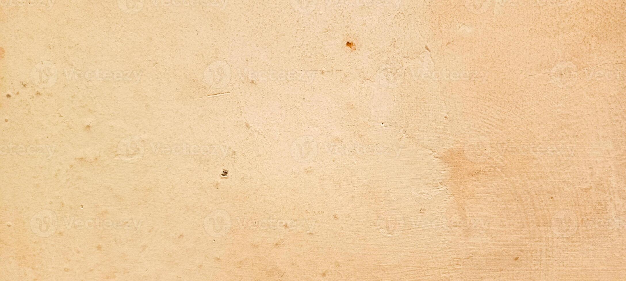 photo of wall fungus