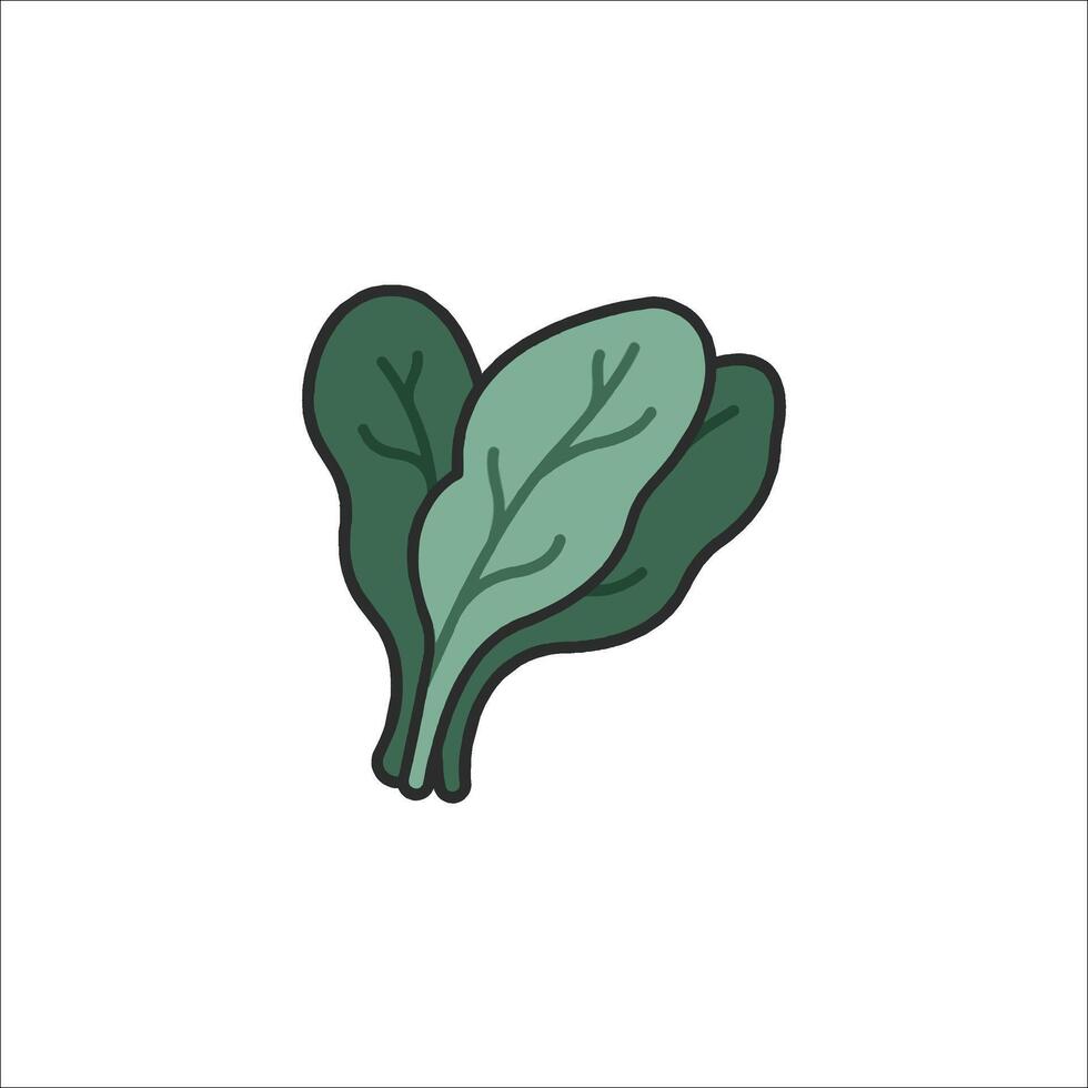 A spinach leaf icon on a white background vector