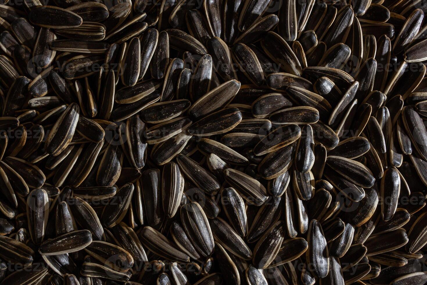 Non Salty Roasted Sunflower Seeds in Shell. A Culinary Canvas of Sunflower Kernels, Creating a Lively and Textured Background for Gourmet Cooking. Scattered Sun Flower Seeds - Top View, Flat Lay photo