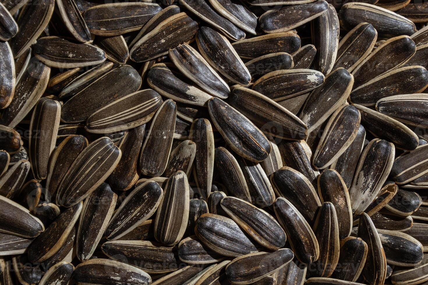 Non Salty Roasted Sunflower Seeds in Shell. A Culinary Canvas of Sunflower Kernels, Creating a Lively and Textured Background for Gourmet Cooking. Scattered Sun Flower Seeds - Top View, Flat Lay photo