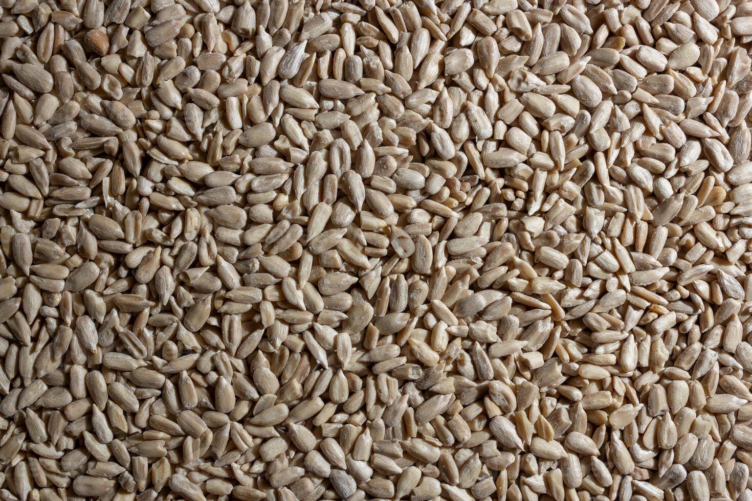 Peeled Sunflower Seeds Background. A Culinary Canvas of Shell-free Sunflower Seeds, Creating a Lively and Textured Background for Gourmet Cooking - Top View, Flat Lay photo