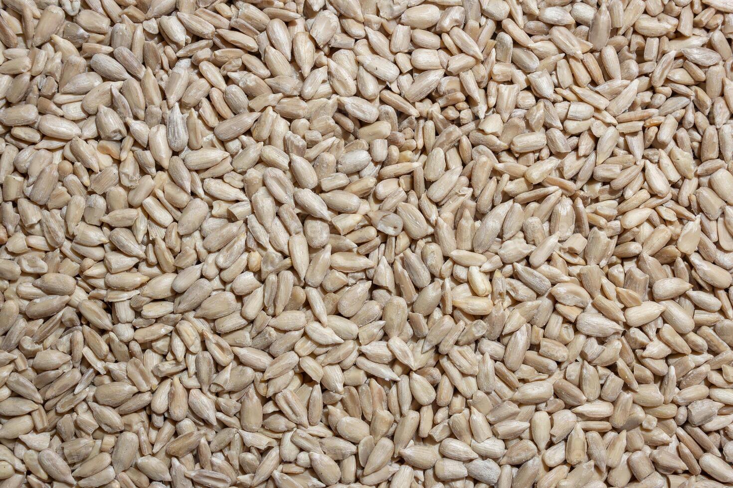 Peeled Sunflower Seeds Background. A Culinary Canvas of Shell-free Sunflower Seeds, Creating a Lively and Textured Background for Gourmet Cooking - Top View, Flat Lay photo