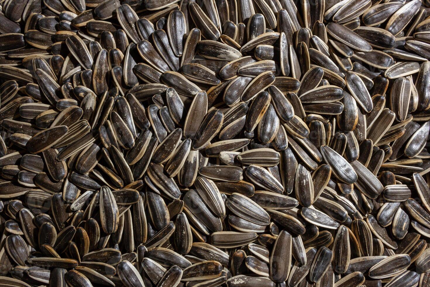 Non Salty Roasted Sunflower Seeds in Shell. A Culinary Canvas of Sunflower Kernels, Creating a Lively and Textured Background for Gourmet Cooking. Scattered Sun Flower Seeds - Top View, Flat Lay photo