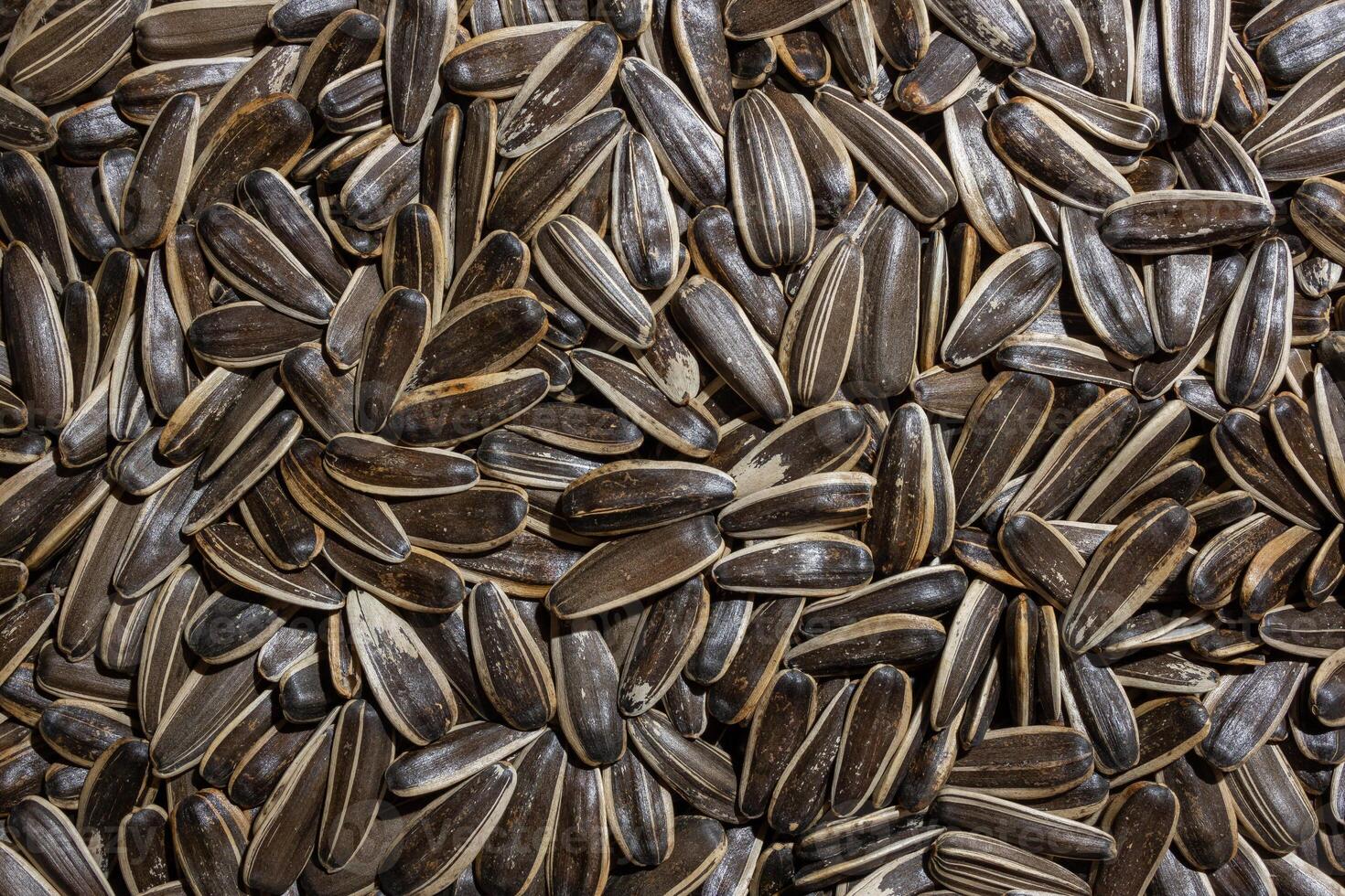 Non Salty Roasted Sunflower Seeds in Shell. A Culinary Canvas of Sunflower Kernels, Creating a Lively and Textured Background for Gourmet Cooking. Scattered Sun Flower Seeds - Top View, Flat Lay photo