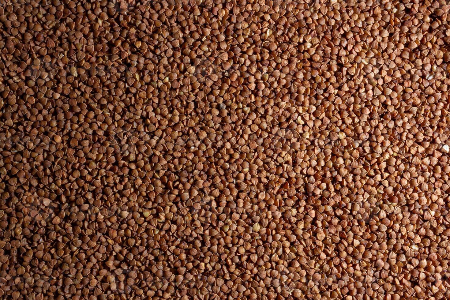 Dry Uncooked Brown Buckwheat Groats Background - Top View, Flat Lay. Raw Large Buckwheat Grains. Russian, Ukrainian and Belarusian Culture photo