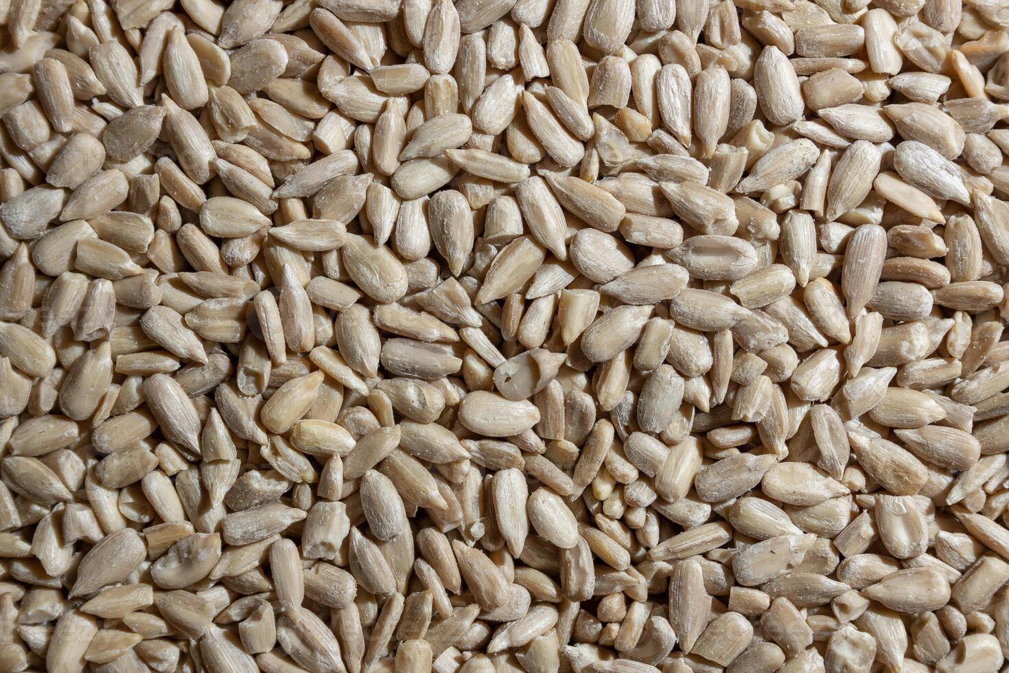 Peeled Sunflower Seeds Background. A Culinary Canvas of Shell-free Sunflower Seeds, Creating a Lively and Textured Background for Gourmet Cooking - Top View, Flat Lay photo