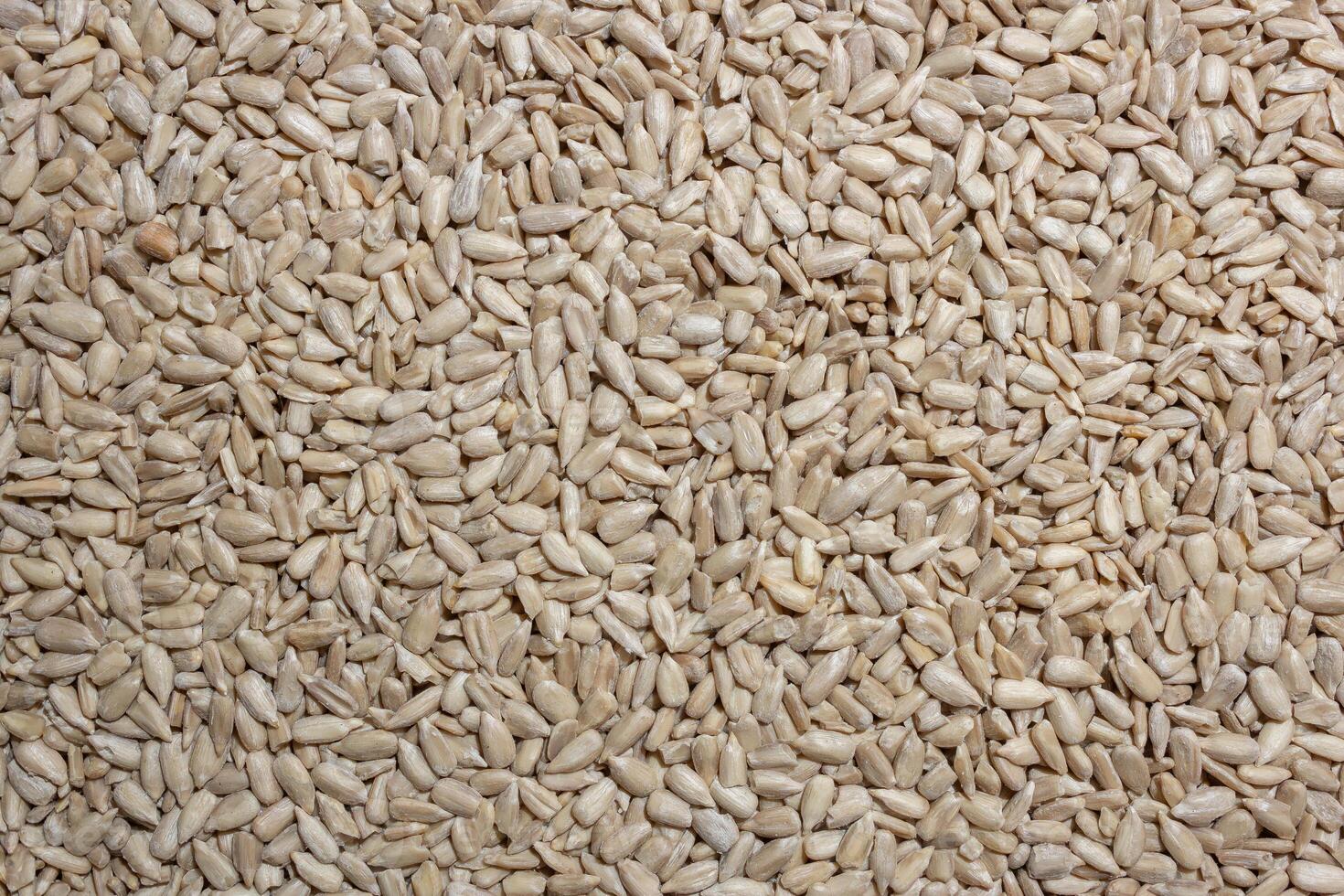 Peeled Sunflower Seeds Background. A Culinary Canvas of Shell-free Sunflower Seeds, Creating a Lively and Textured Background for Gourmet Cooking - Top View, Flat Lay photo