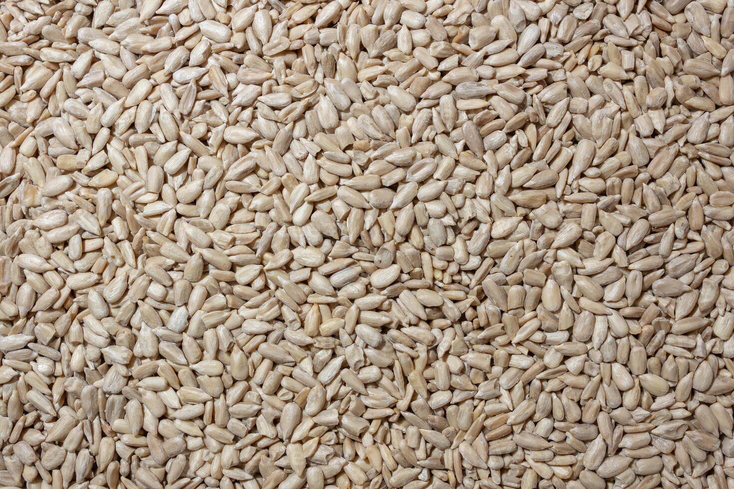 Peeled Sunflower Seeds Background. A Culinary Canvas of Shell-free Sunflower Seeds, Creating a Lively and Textured Background for Gourmet Cooking - Top View, Flat Lay photo