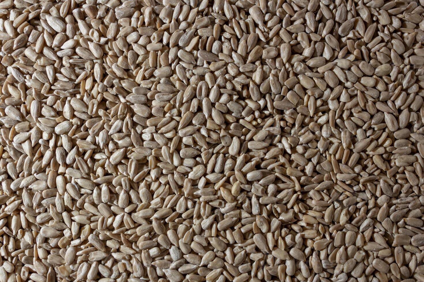 Peeled Sunflower Seeds Background. A Culinary Canvas of Shell-free Sunflower Seeds, Creating a Lively and Textured Background for Gourmet Cooking - Top View, Flat Lay photo