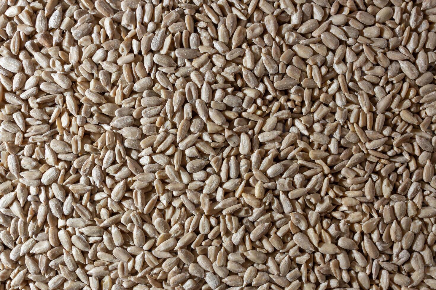 Peeled Sunflower Seeds Background. A Culinary Canvas of Shell-free Sunflower Seeds, Creating a Lively and Textured Background for Gourmet Cooking - Top View, Flat Lay photo