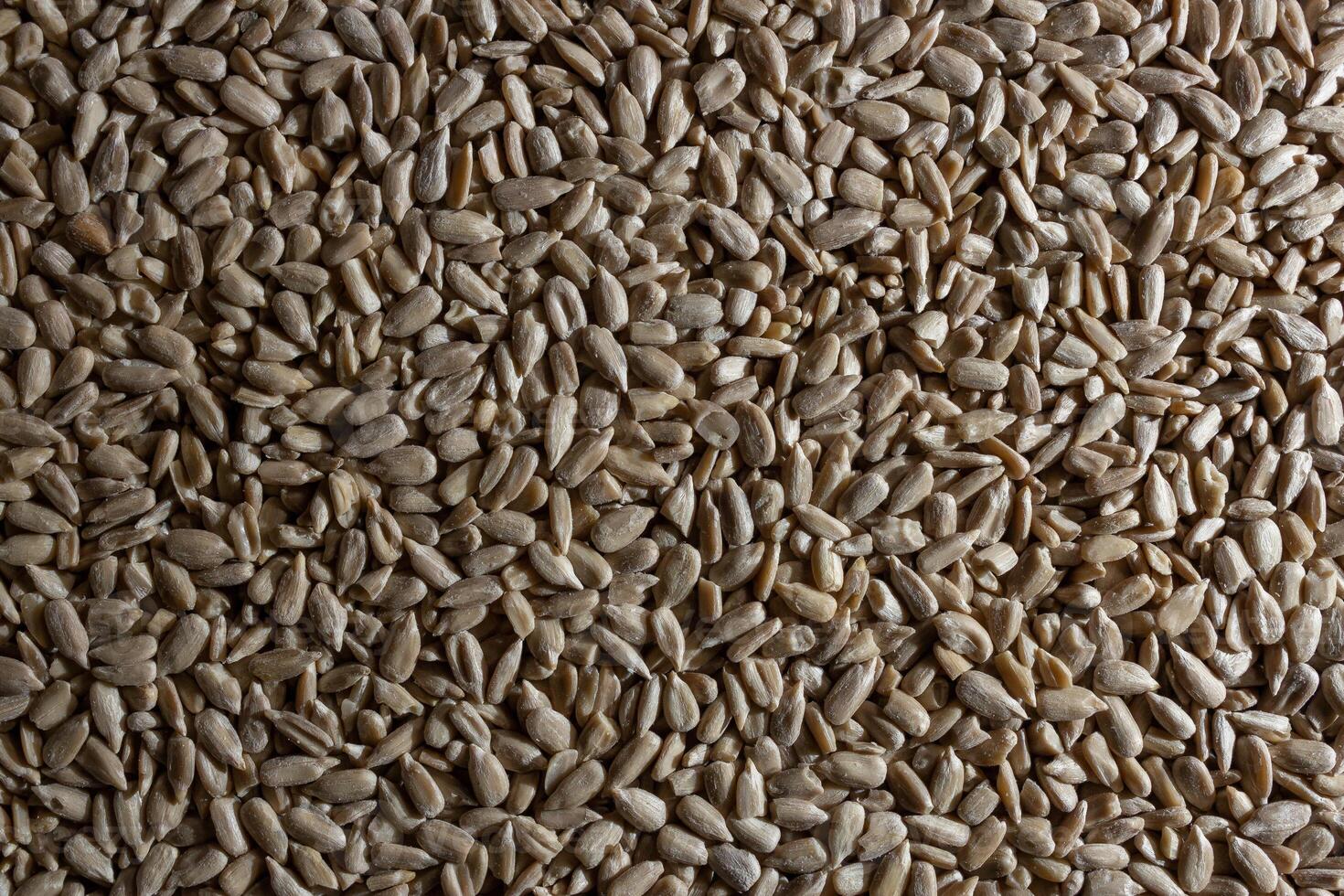 Peeled Sunflower Seeds Background. A Culinary Canvas of Shell-free Sunflower Seeds, Creating a Lively and Textured Background for Gourmet Cooking - Top View, Flat Lay photo
