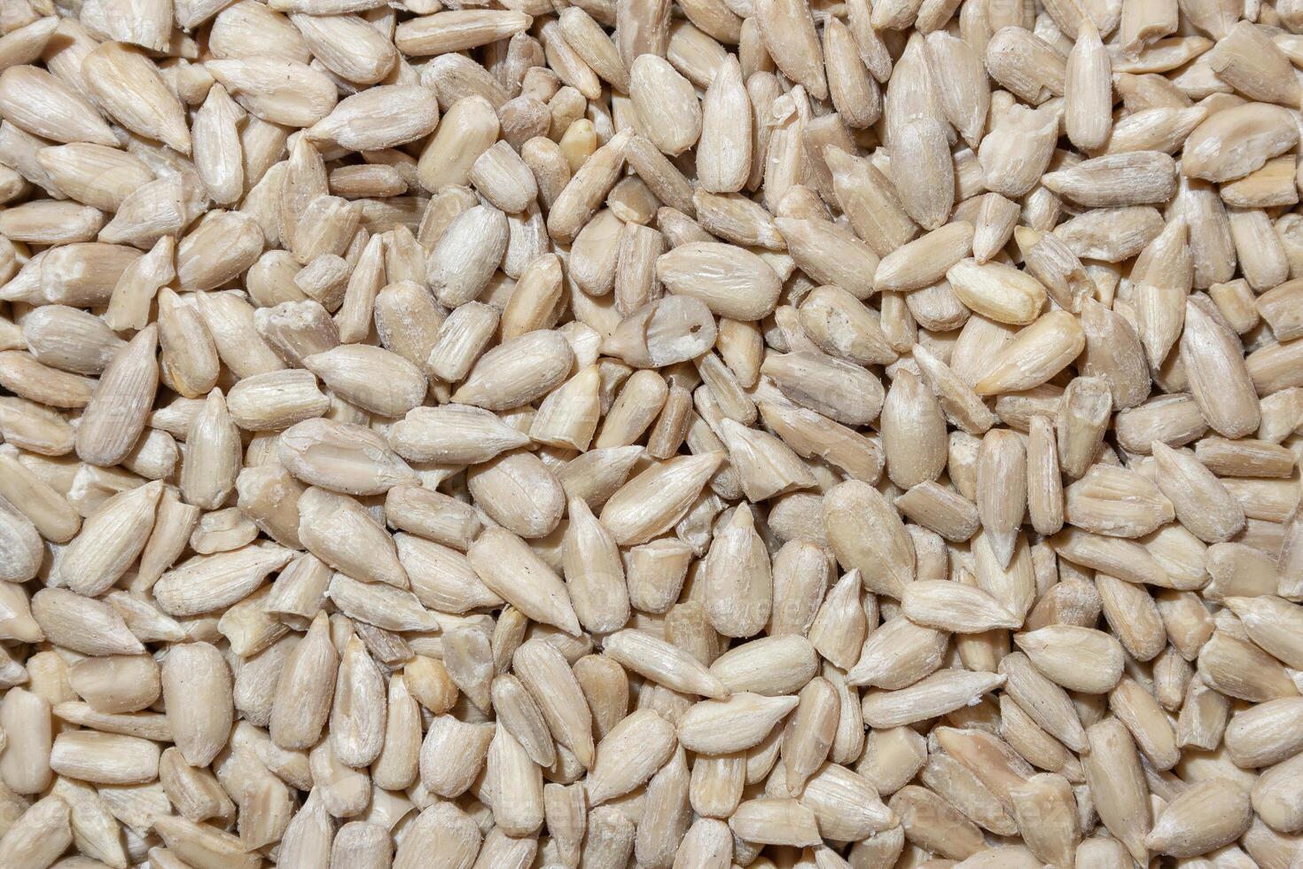 Peeled Sunflower Seeds Background. A Culinary Canvas of Shell-free Sunflower Seeds, Creating a Lively and Textured Background for Gourmet Cooking - Top View, Flat Lay photo