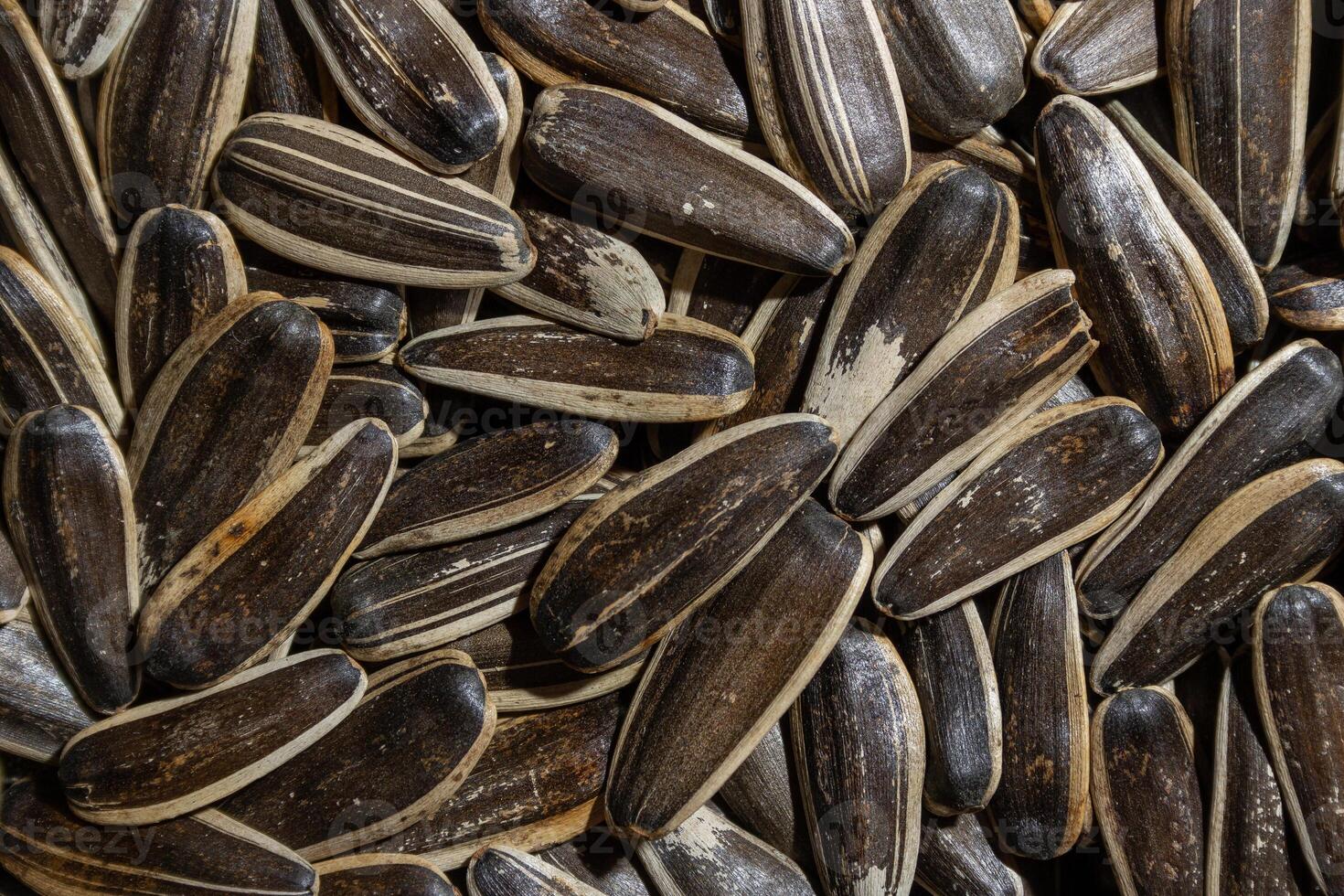 Non Salty Roasted Sunflower Seeds in Shell. A Culinary Canvas of Sunflower Kernels, Creating a Lively and Textured Background for Gourmet Cooking. Scattered Sun Flower Seeds - Top View, Flat Lay photo