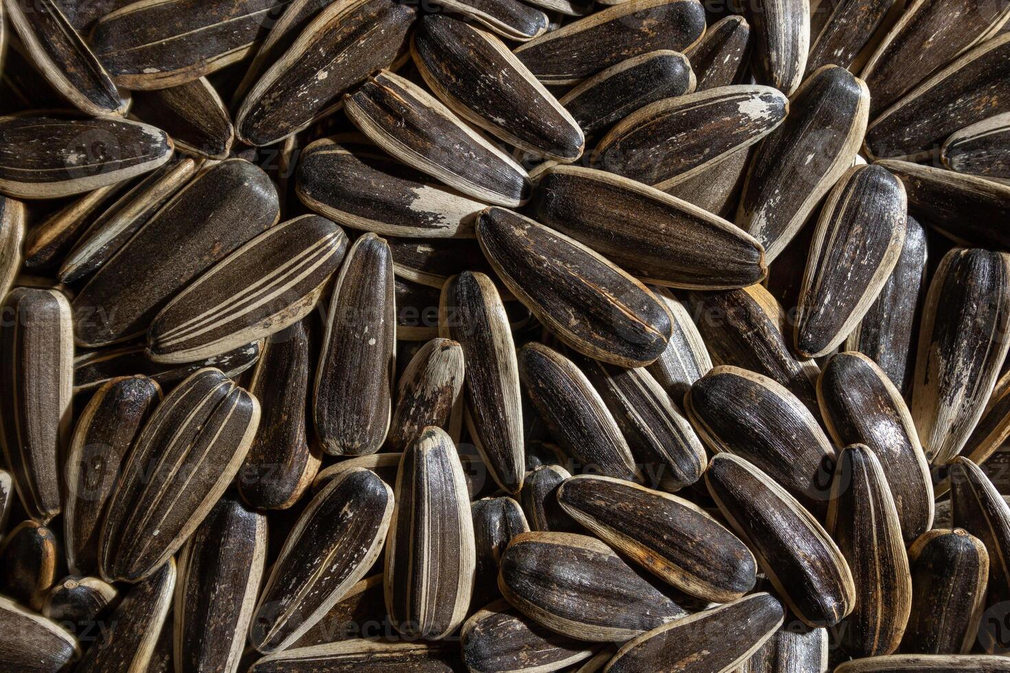 Non Salty Roasted Sunflower Seeds in Shell. A Culinary Canvas of Sunflower Kernels, Creating a Lively and Textured Background for Gourmet Cooking. Scattered Sun Flower Seeds - Top View, Flat Lay photo