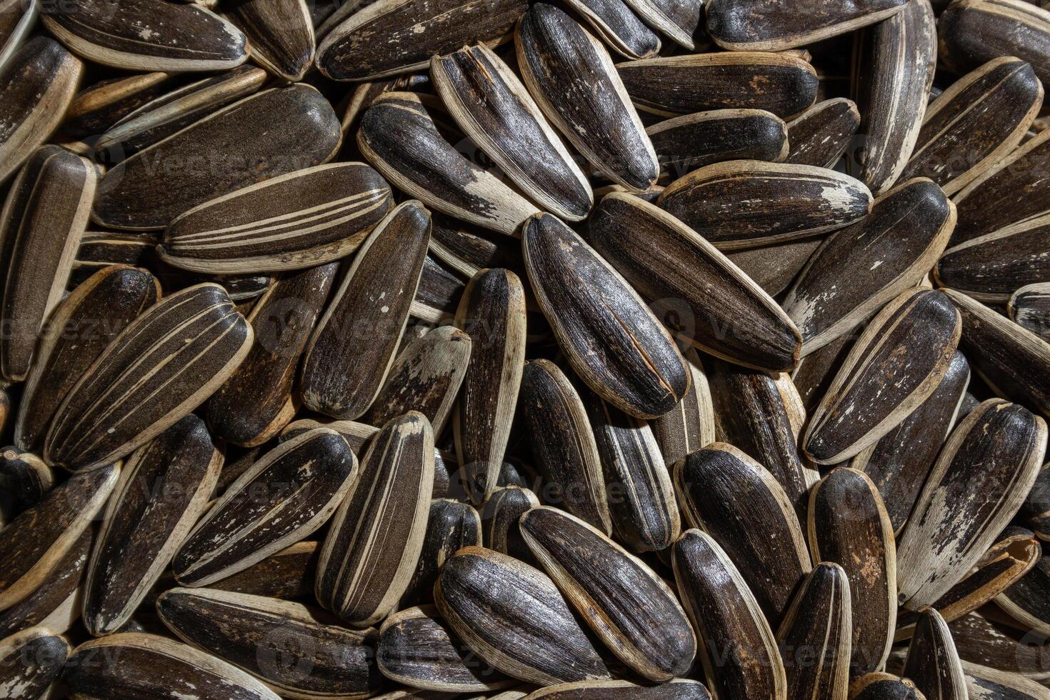 Non Salty Roasted Sunflower Seeds in Shell. A Culinary Canvas of Sunflower Kernels, Creating a Lively and Textured Background for Gourmet Cooking. Scattered Sun Flower Seeds - Top View, Flat Lay photo
